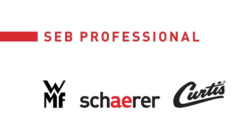 SEB PROFESSIONAL Logo