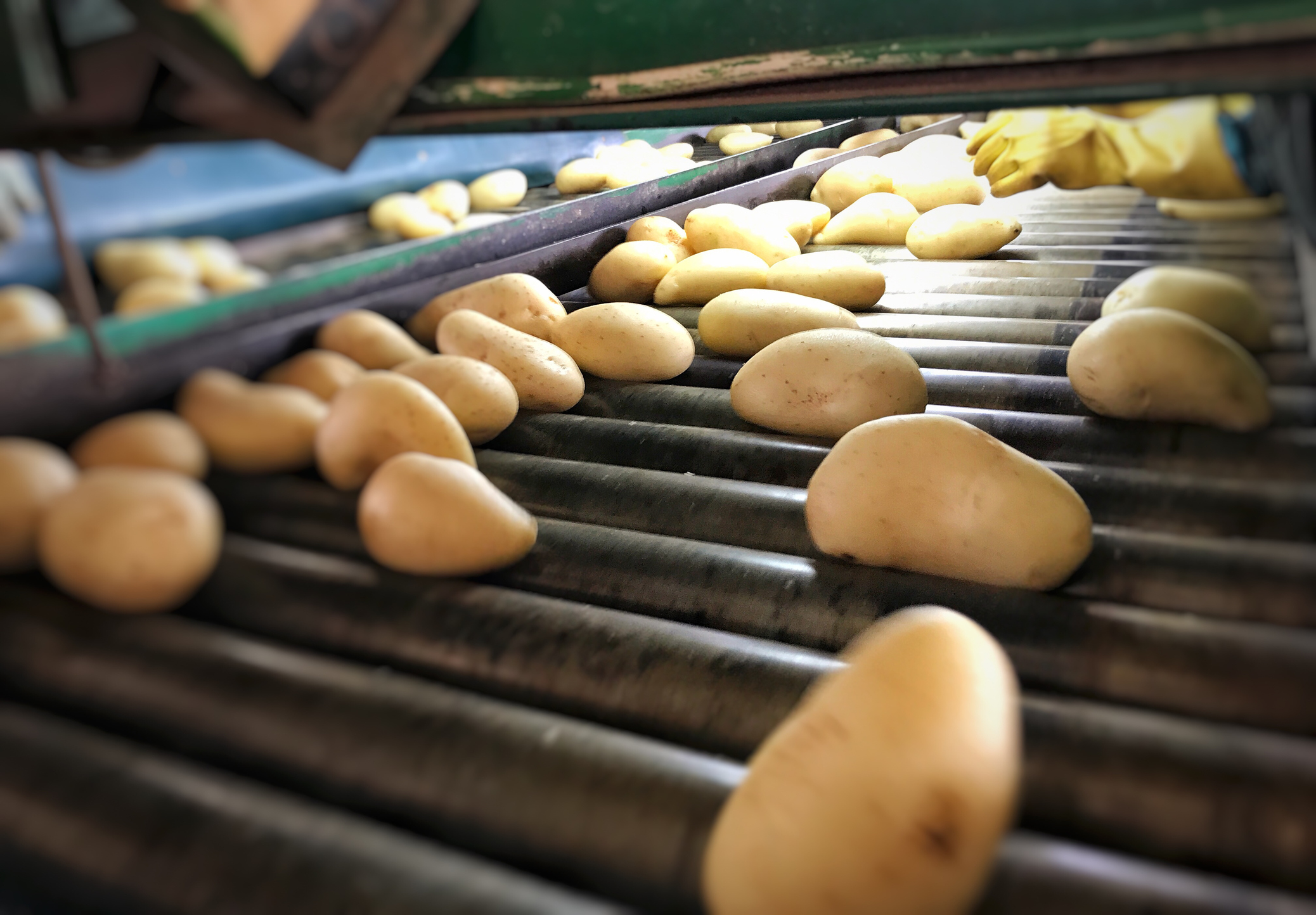 Staking bij Limburgse aardappelfabriek ‘buitenproportioneel’
